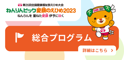 総合プログラム